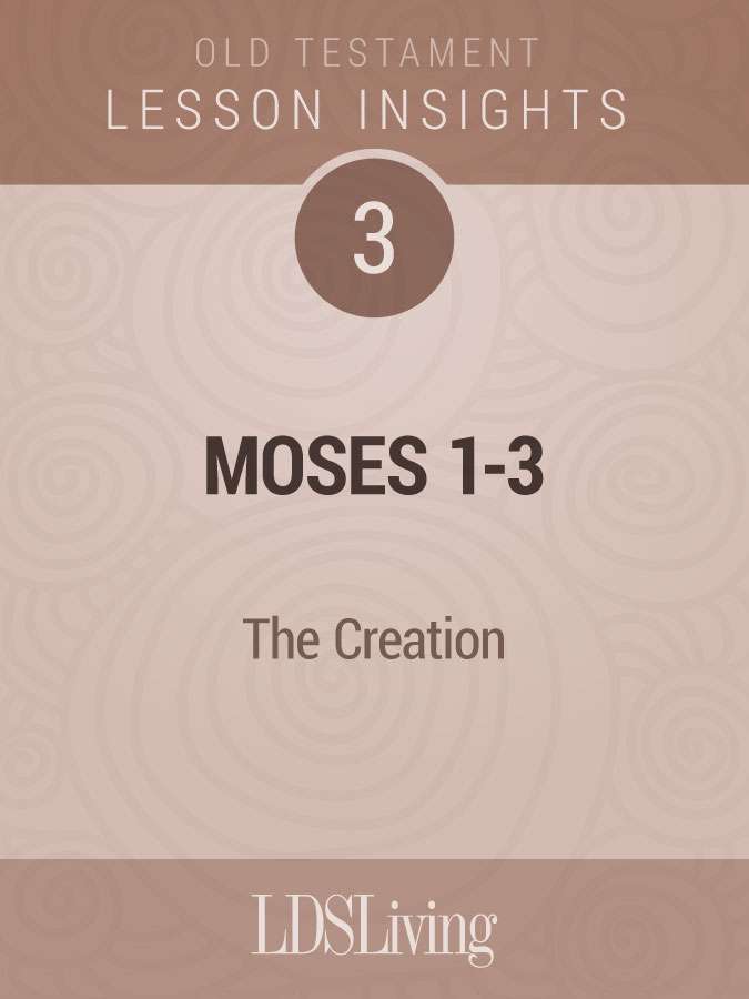 Lesson Insights: Old Testament #3, , large image number 0