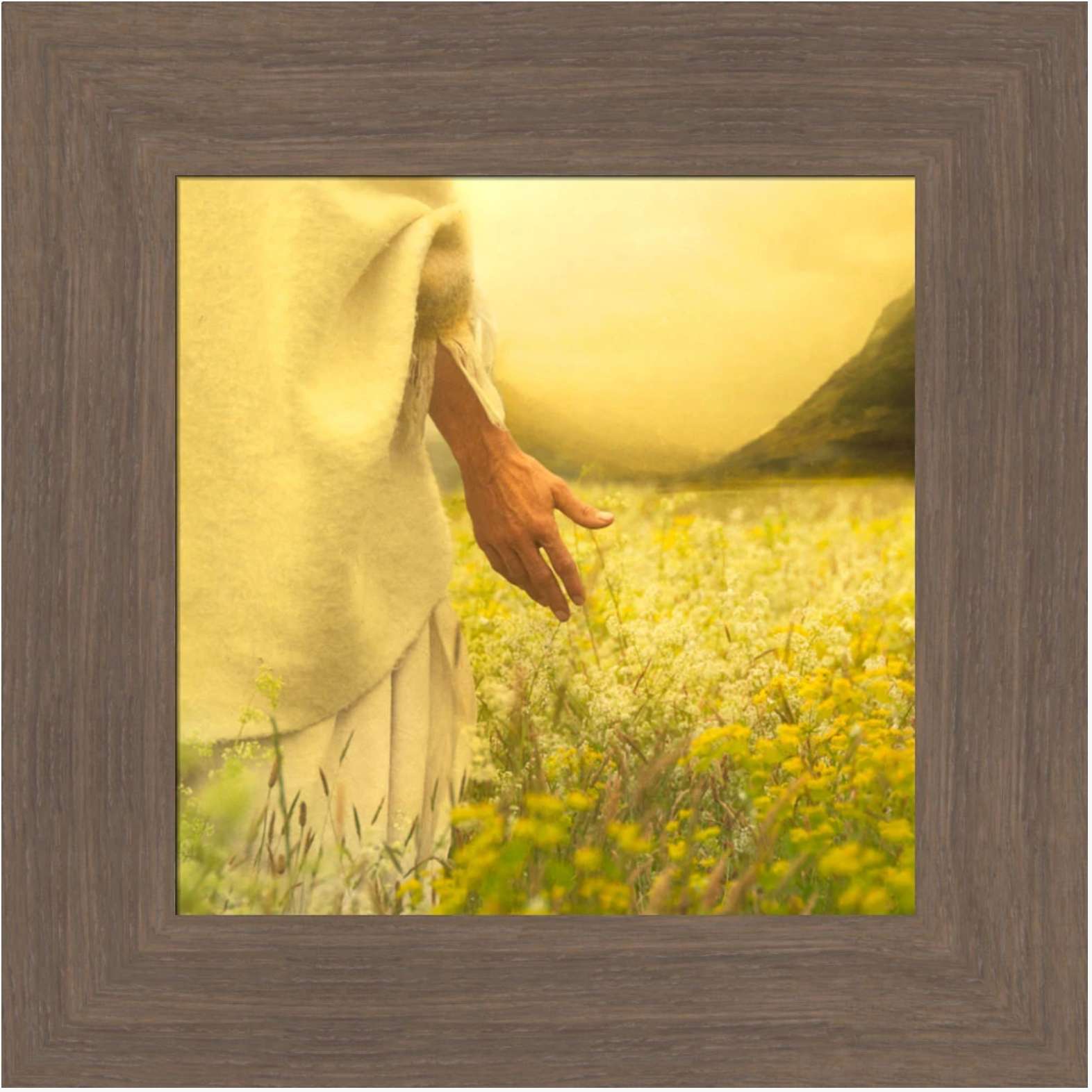 Consider the Lilies (13x13 Framed Art)