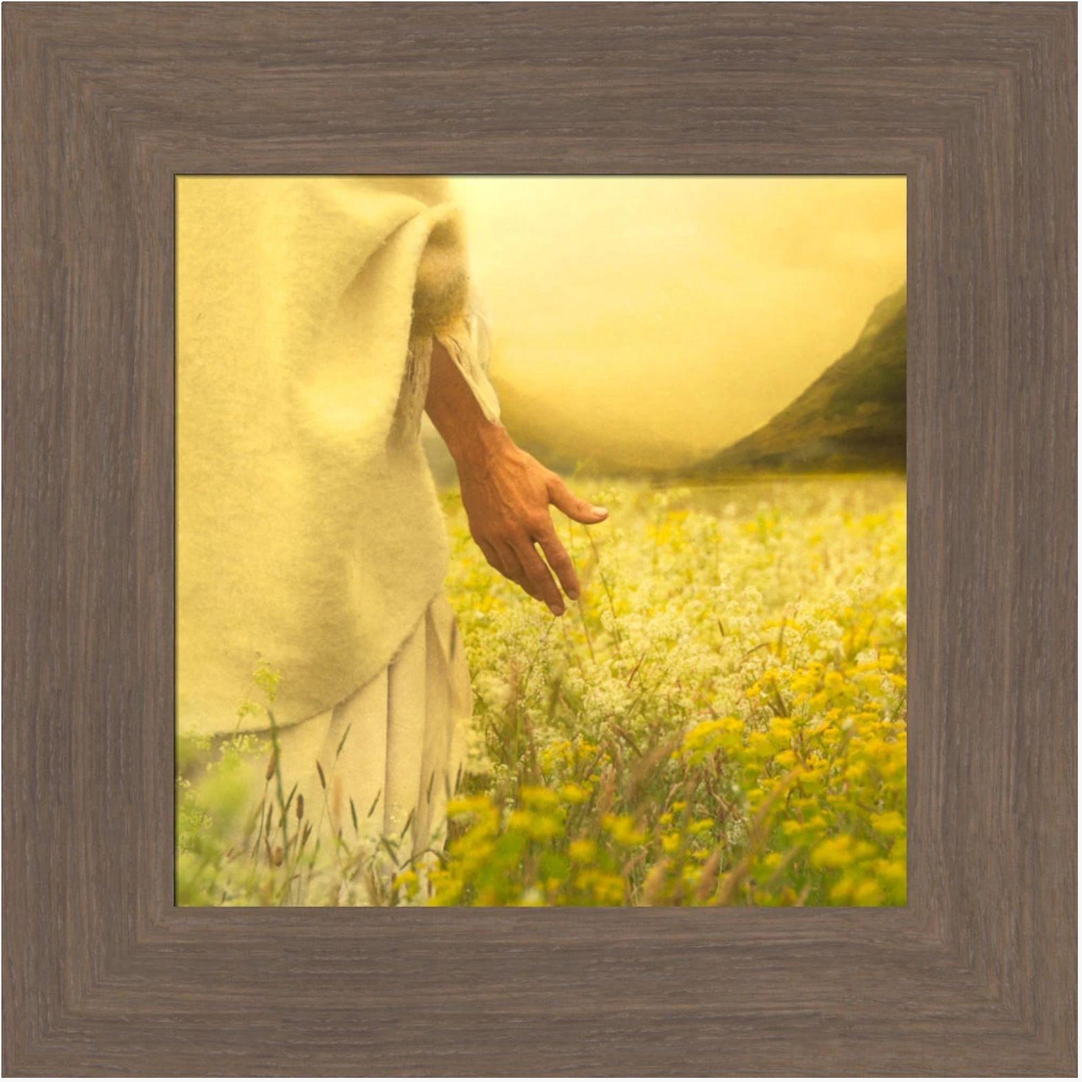 Consider the Lilies (13x13 Framed Art)