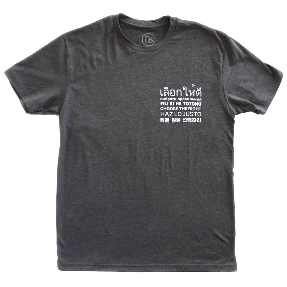 Choose the Right Unisex T-Shirt, , large