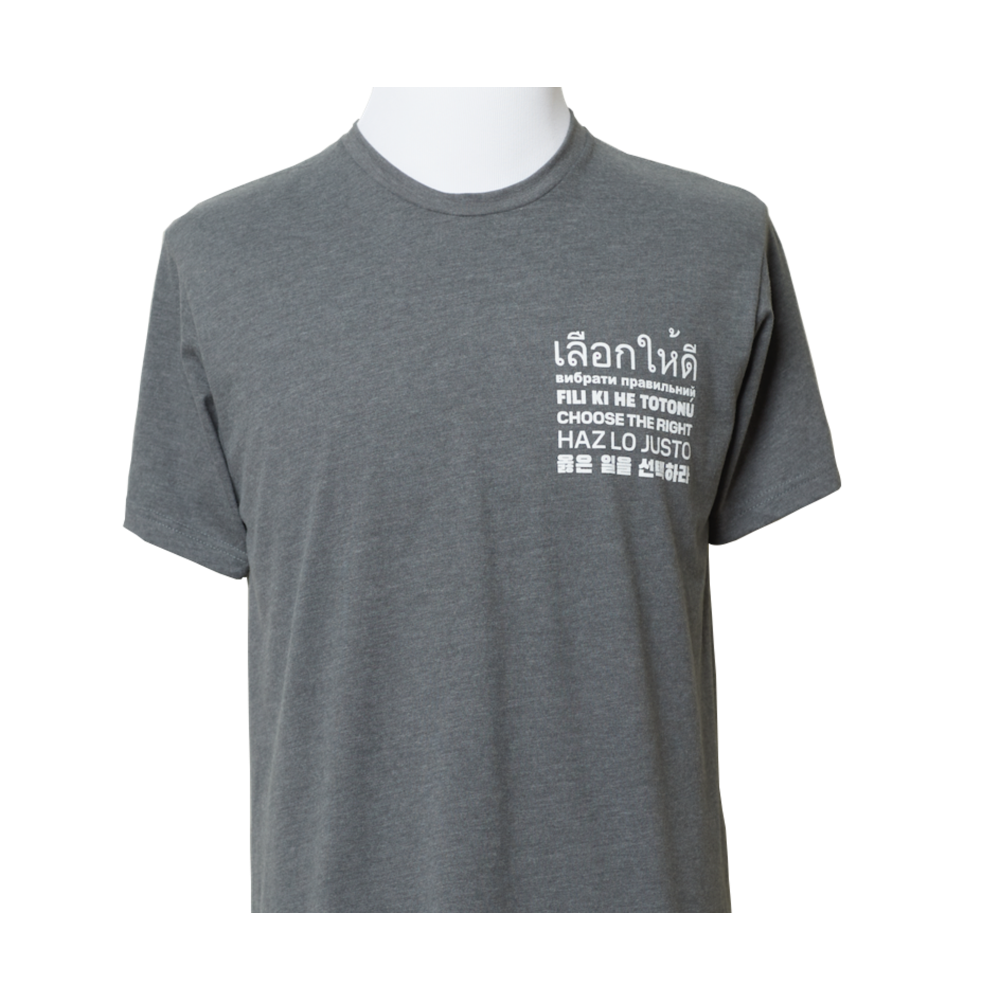 Choose the Right Unisex T-Shirt, , large image