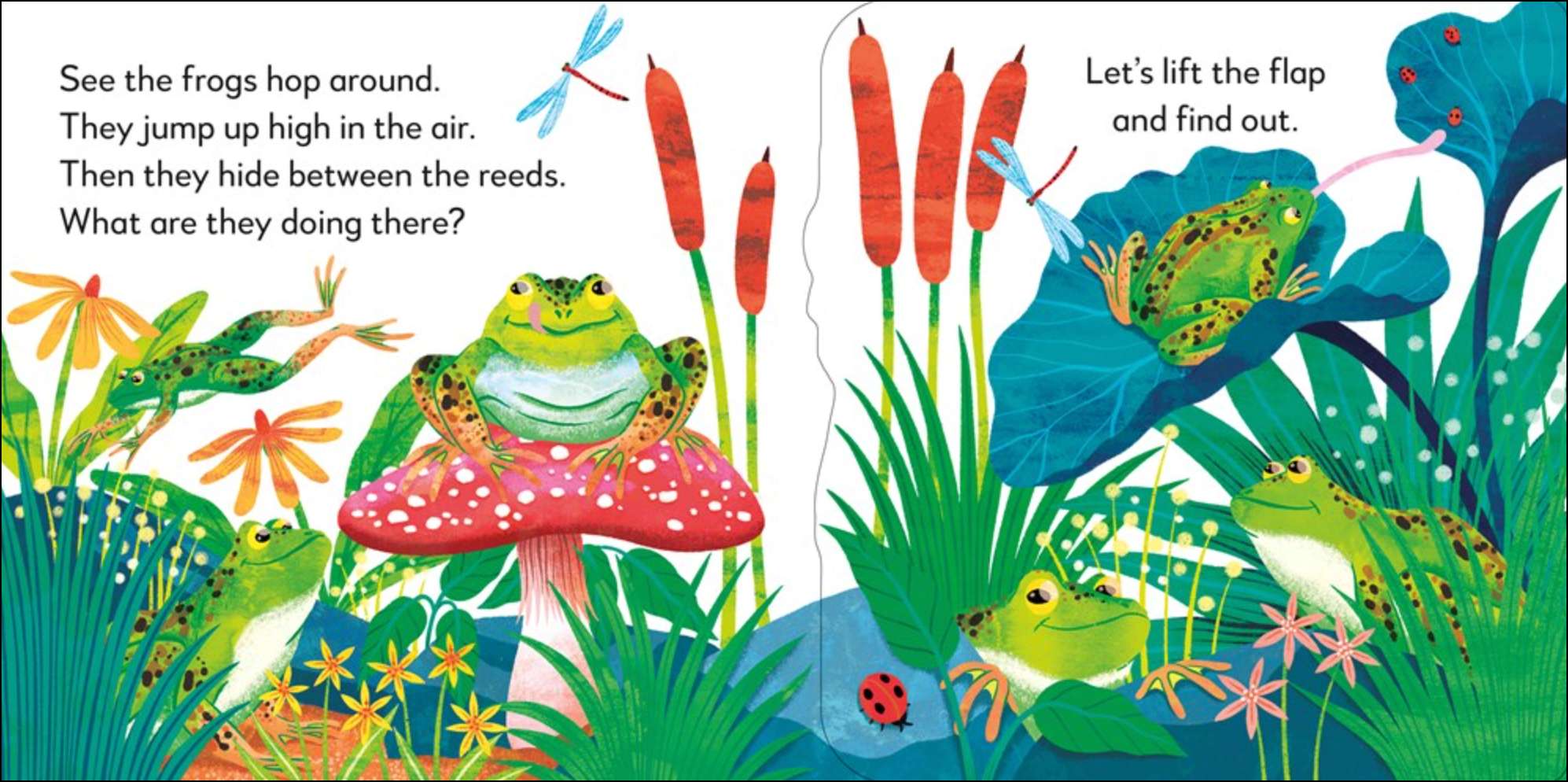 Pop-Up Peekaboo! Frog, , large image number 1