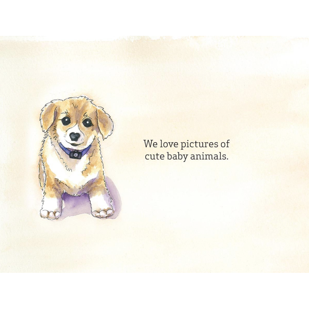 Good Pictures Bad Pictures Jr., , large image number 4