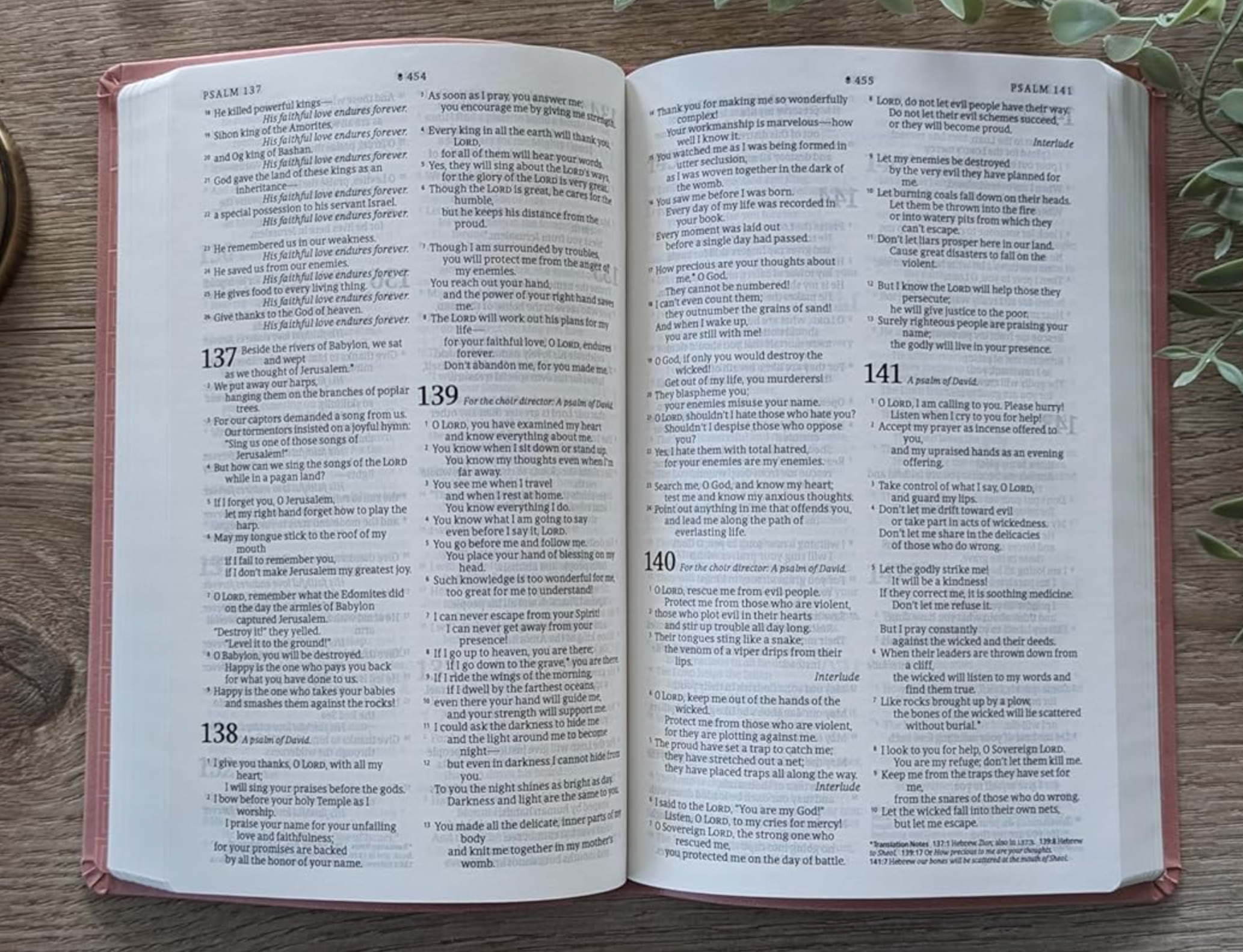 NLT Premium Value Thinline Holy Bible, Faux Leather, Dusty Pink Vines, , large