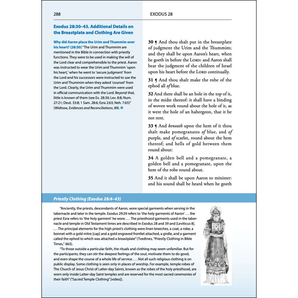Old Testament Study Guide, , large image number 3