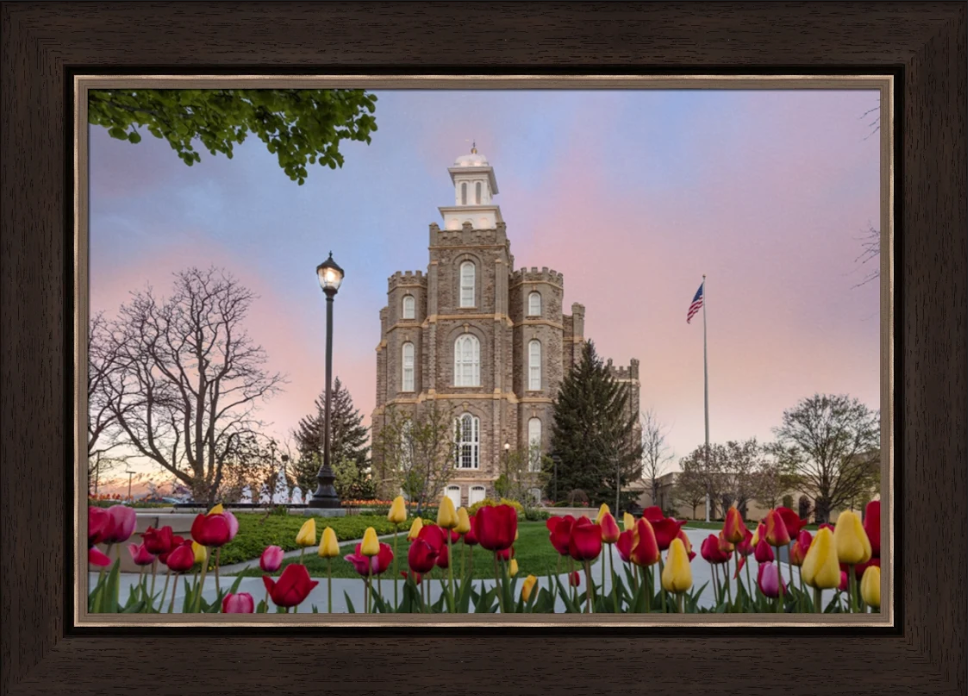 House of Peace: Logan Temple (27x35 Framed Art), , large image number 0