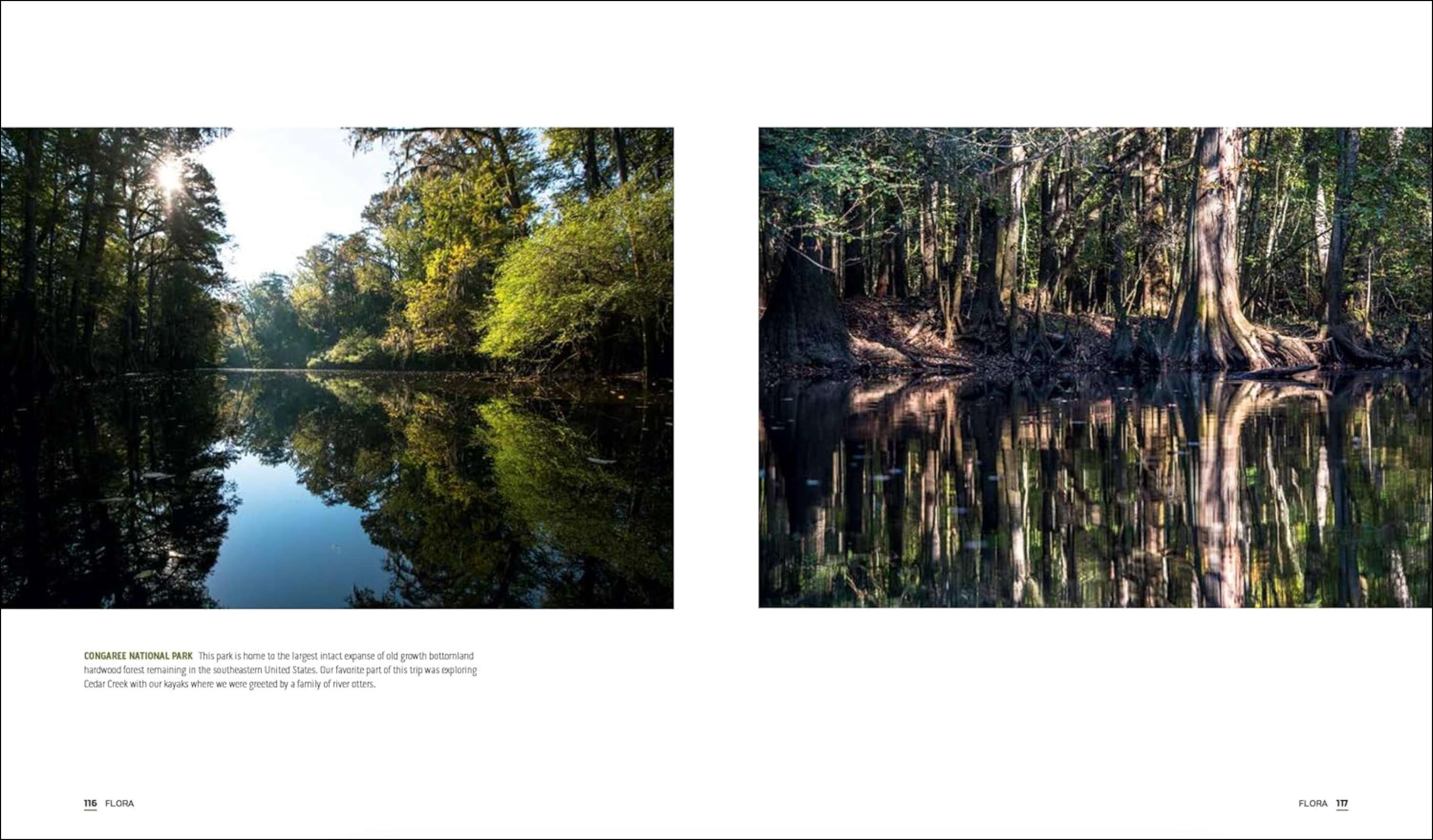 Parklands, , large image number 2