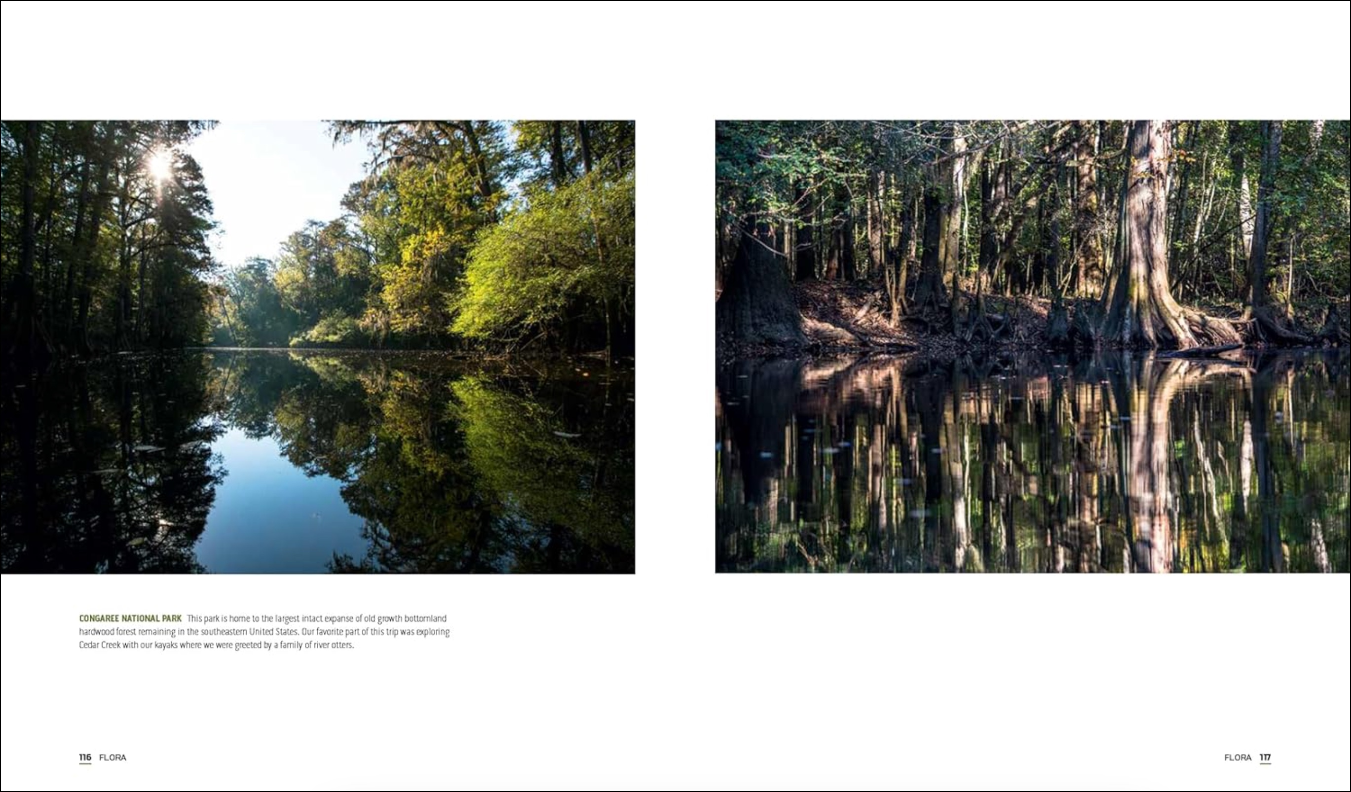 Parklands , , large image number 2