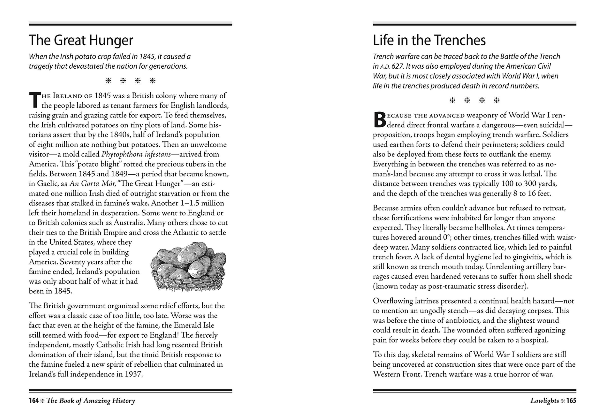 The Book of Amazing History, , large