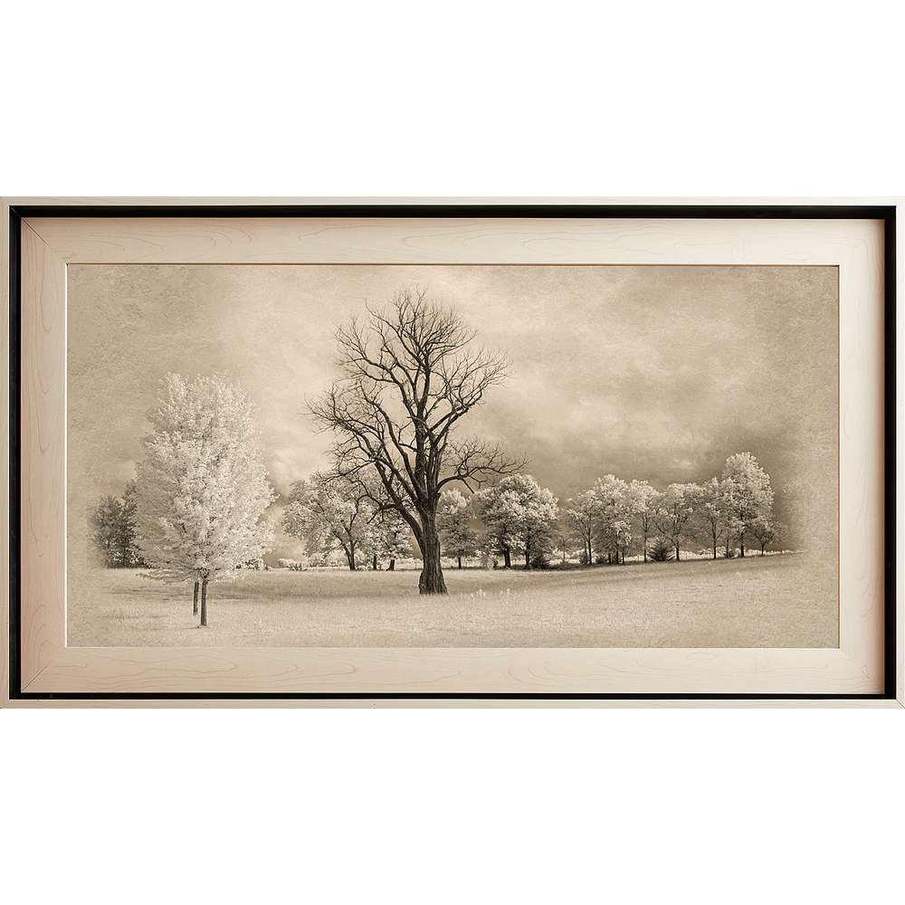 Adam-Ondi-Ahman Temple, Light Wood (22x39 Framed Textured Paper), , large image number 0