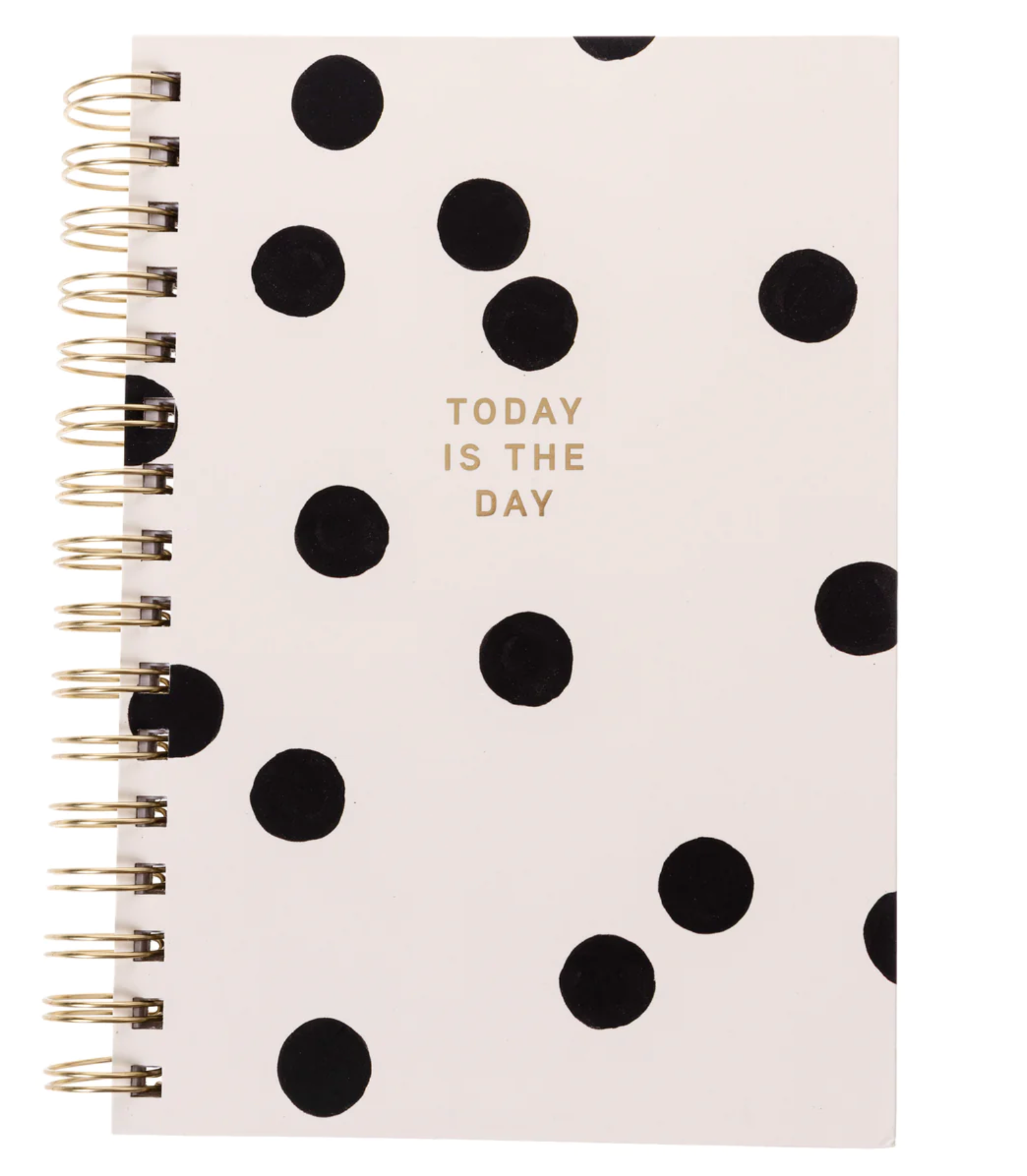 Today is the Day Journal