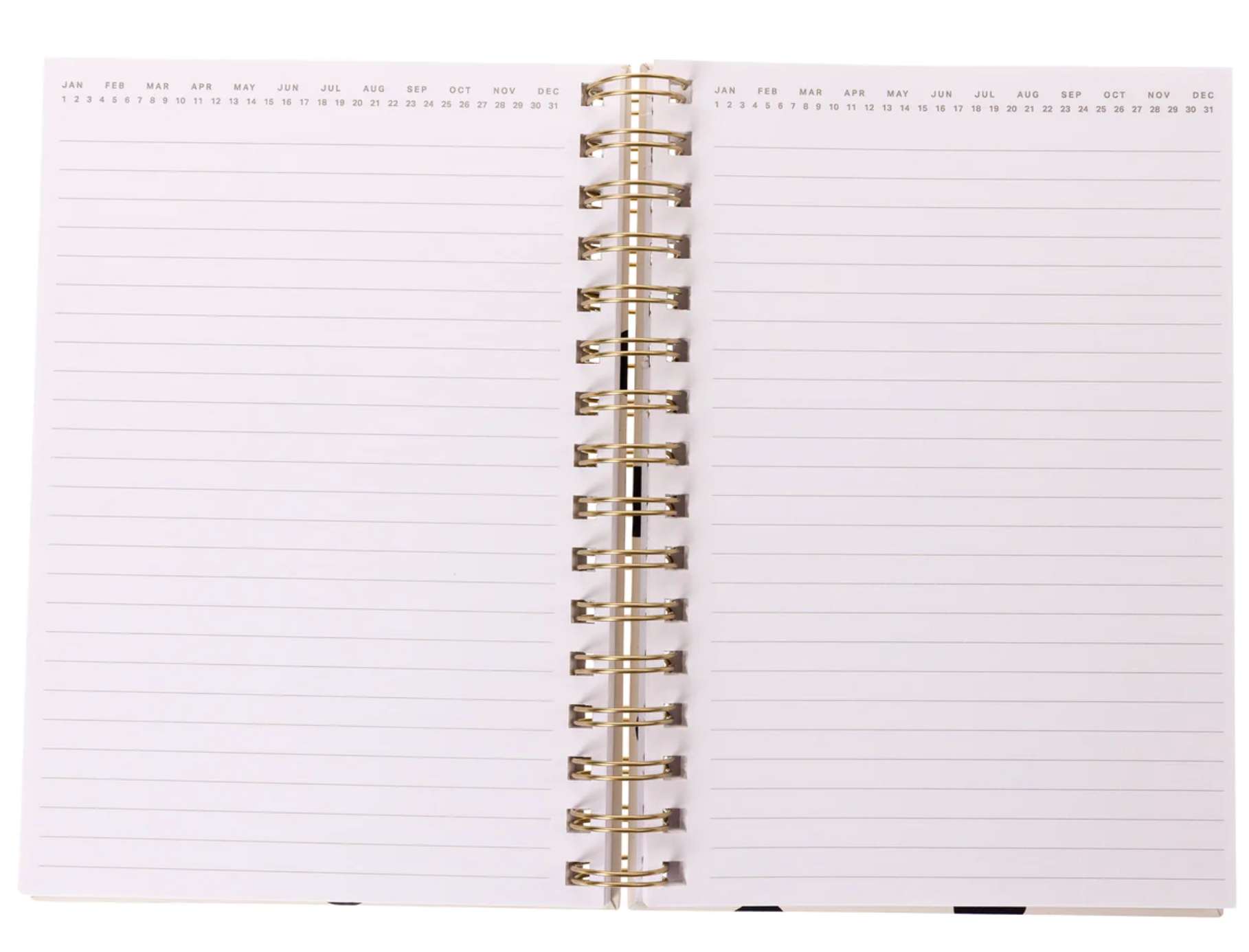 Today is the Day Journal, , large