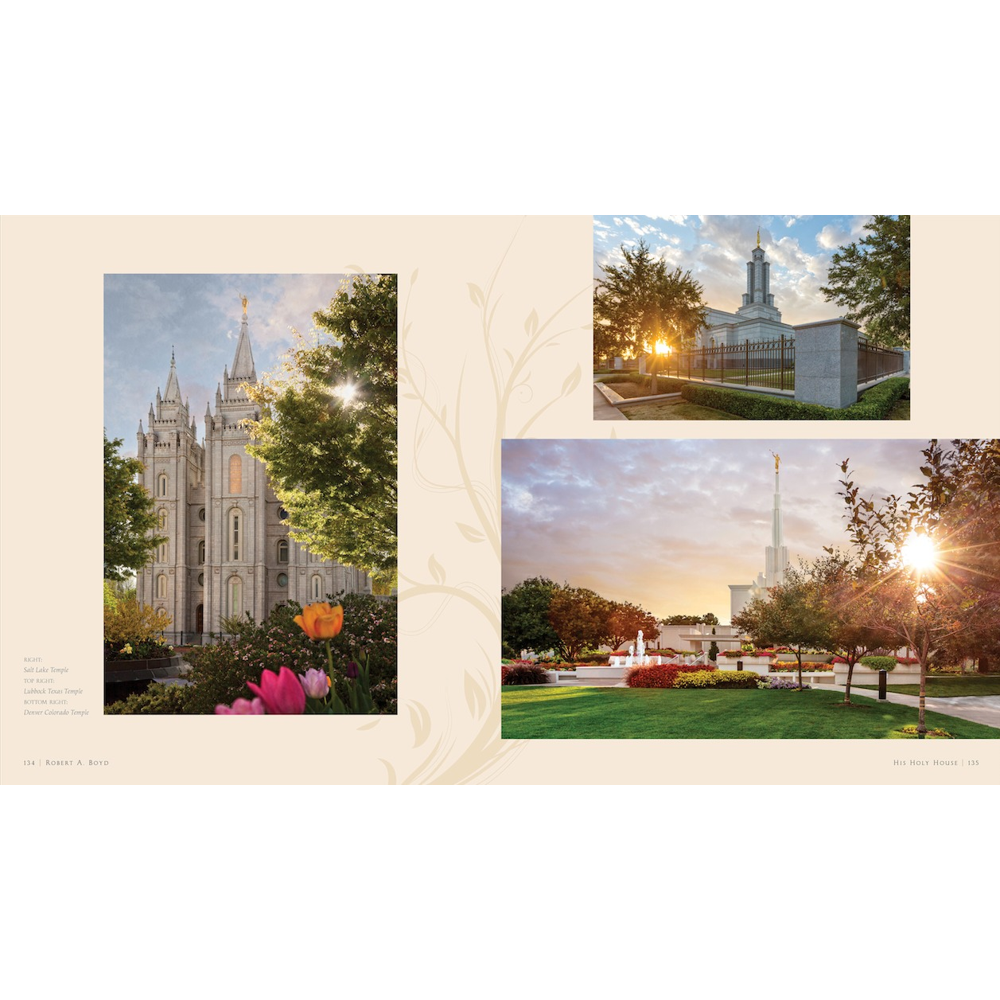 His Holy House, , large image number 3
