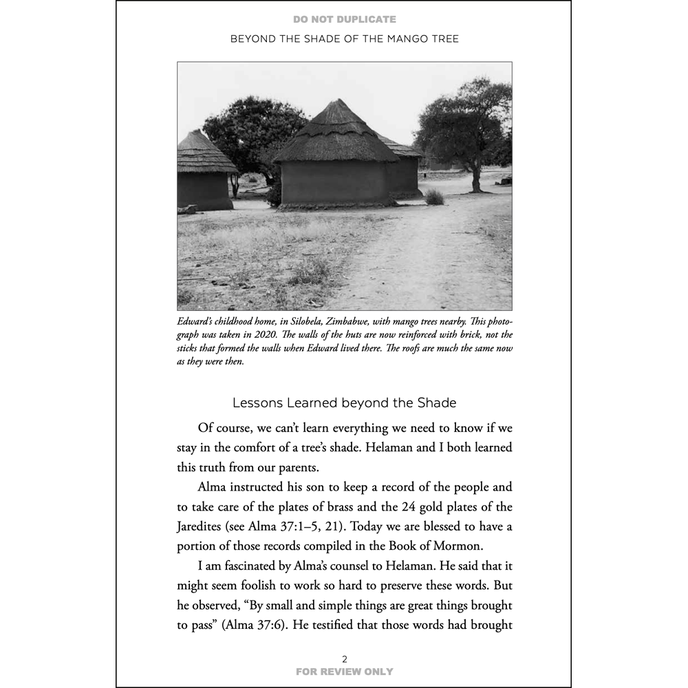 Beyond the Shade of the Mango Tree, , large image number 3