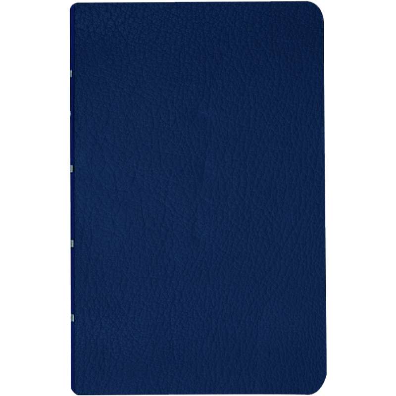 Jesus the Christ (Leather Edition)