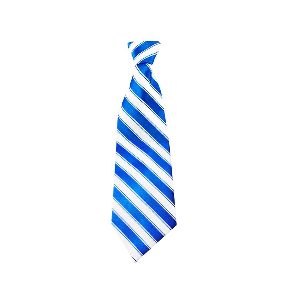 Boys' Blue/White CTR Necktie