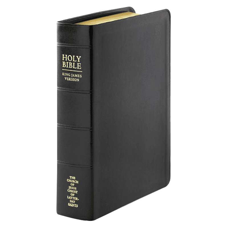 Simulated Leather Bible, Regular, Indexed