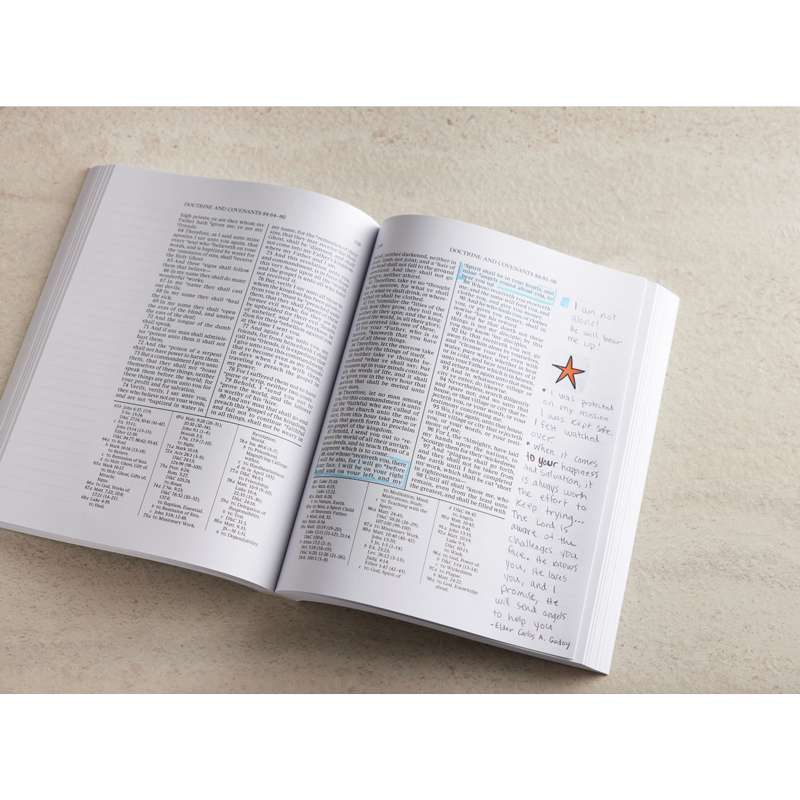 The Doctrine and Covenants and Pearl of Great Price, Journal Edition, Large Print Lined, , large