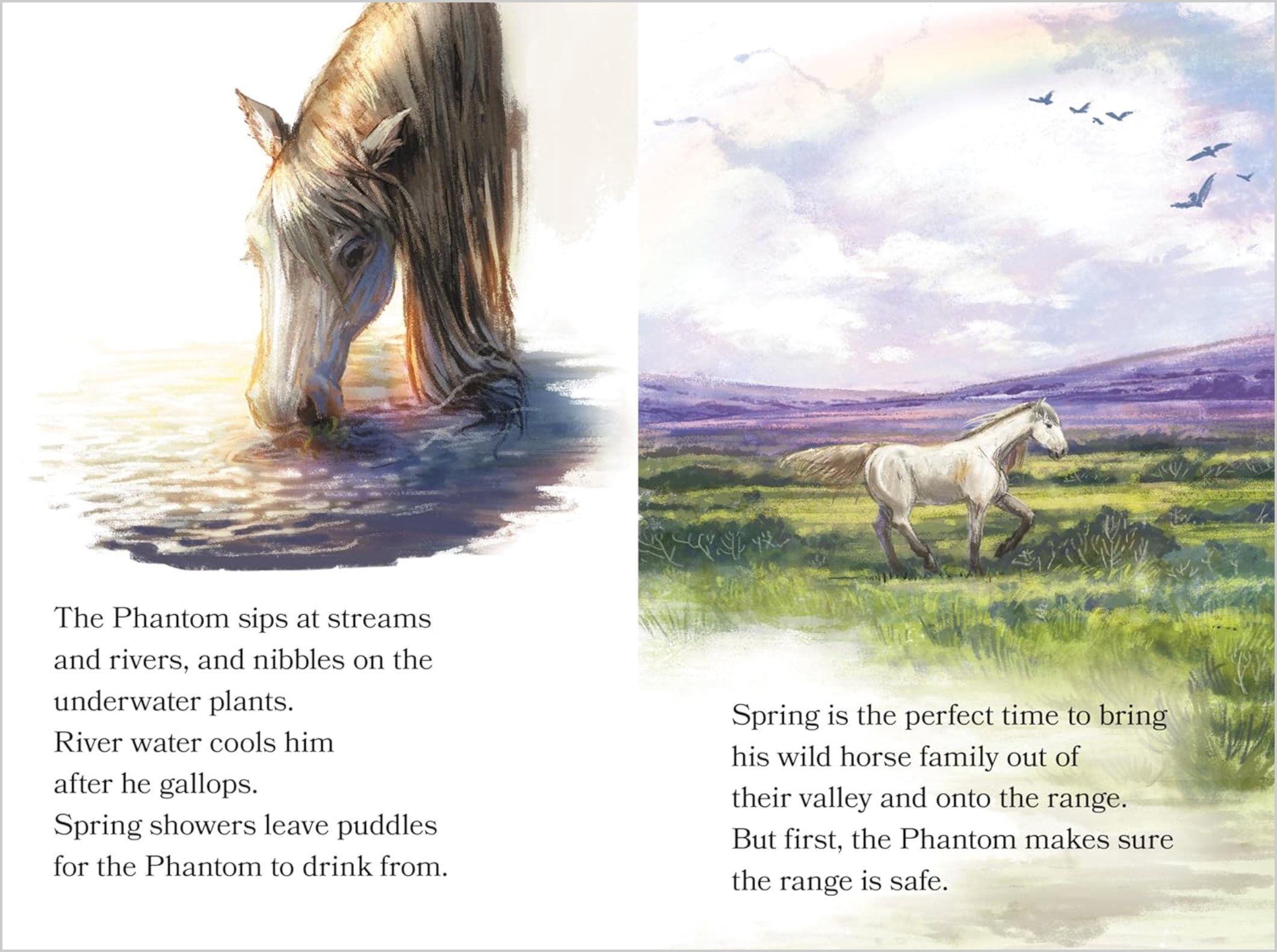 The Wild Stallion (The Phantom Stallion's Family), , large image number 2