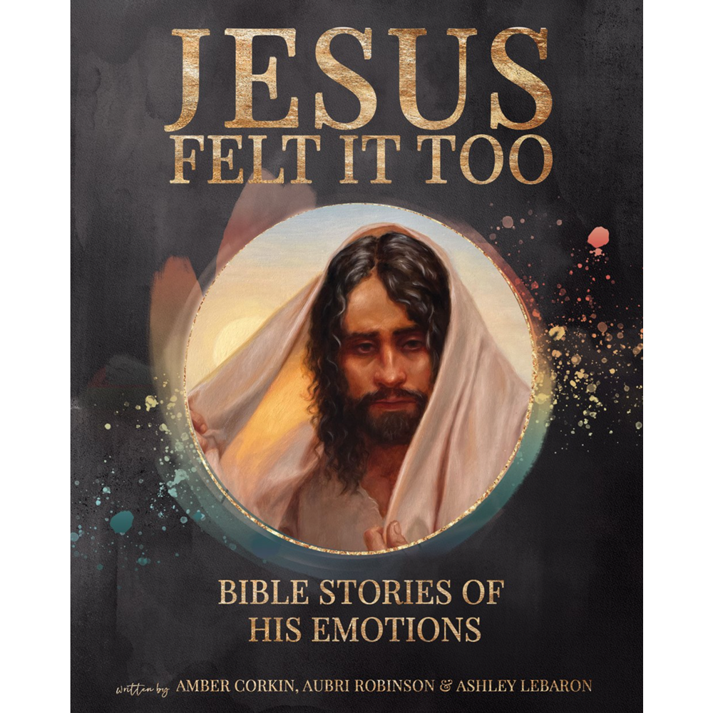 Jesus Felt it Too,  Jesus Felt it Too