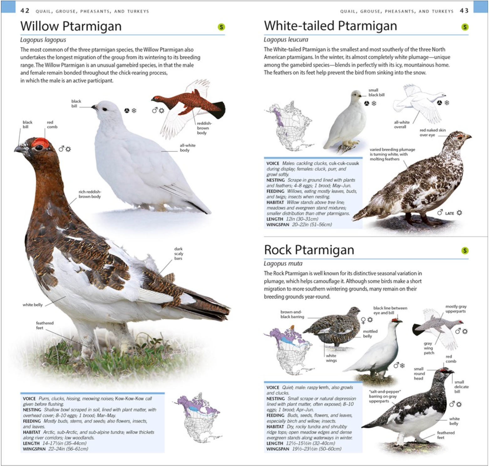 AMNH Pocket Birds of North America Western Region (3rd Edition), , large