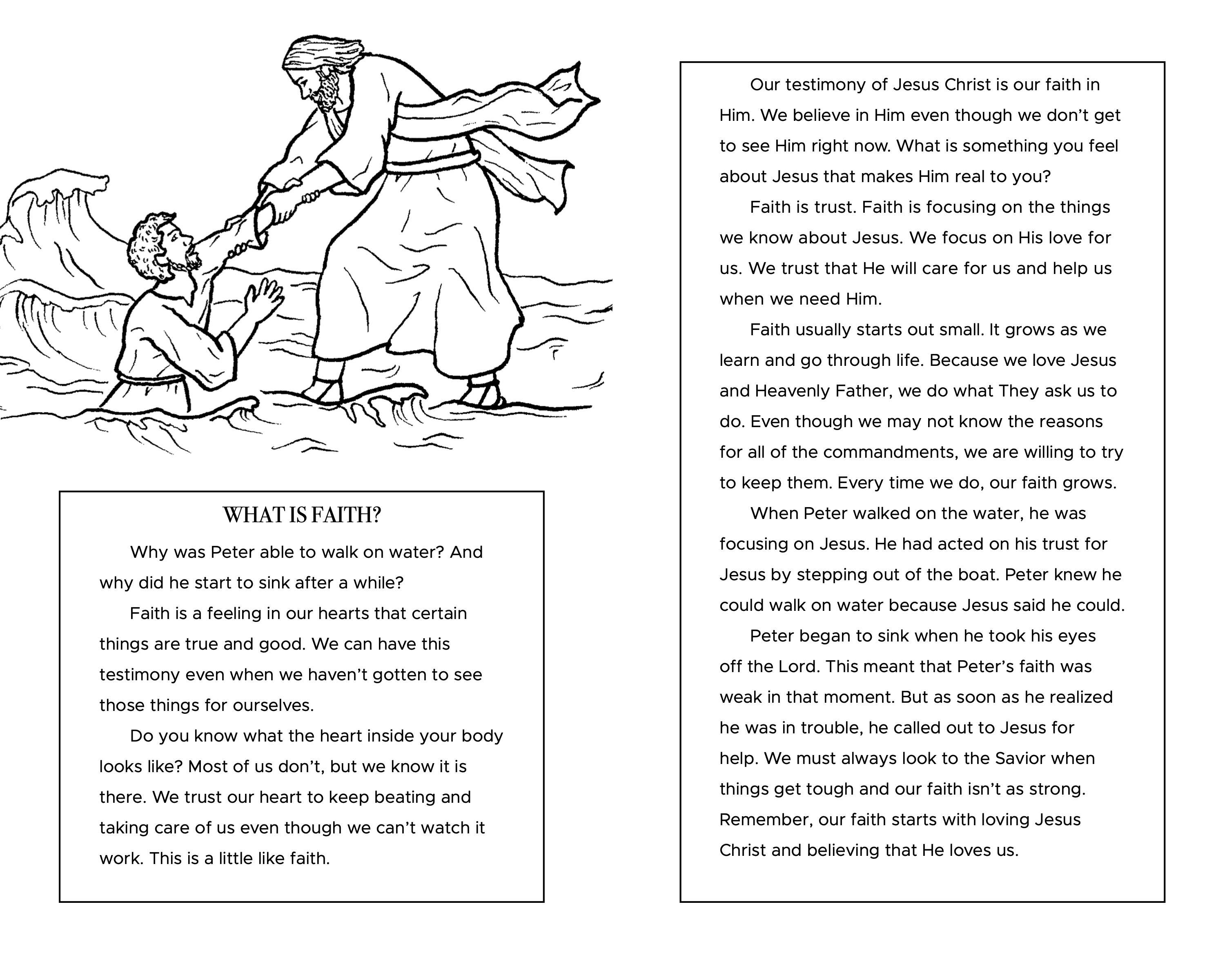 Who Were Christ's Apostles?, , large image number 2