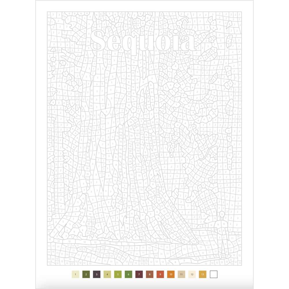 Color by Numbers US National Parks - Search Press 4