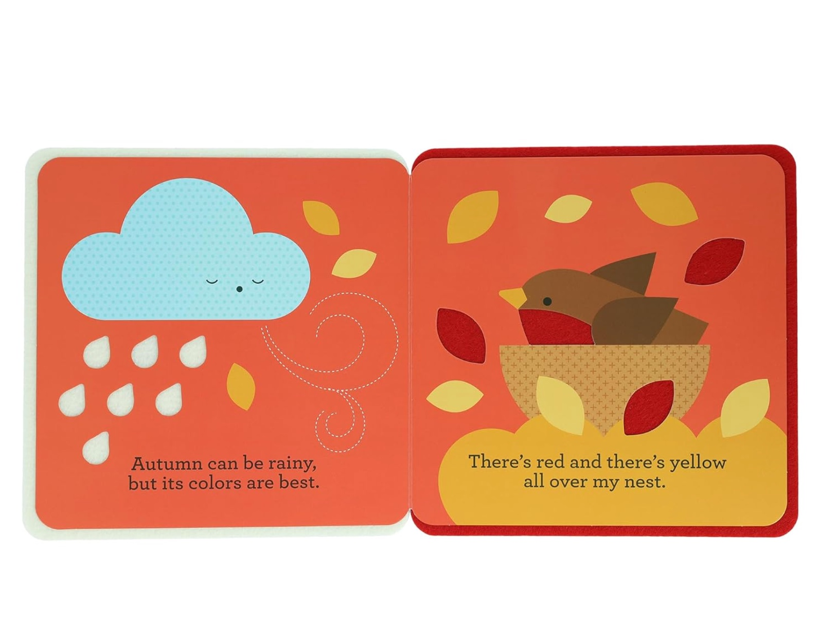 Rain and Shine, , large