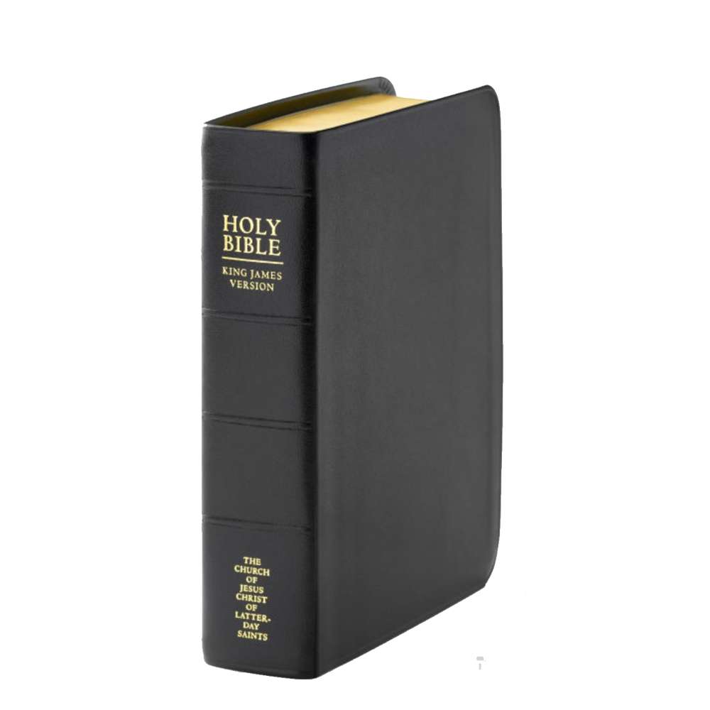 Holy Bible, Genuine Leather, Regular, Indexed