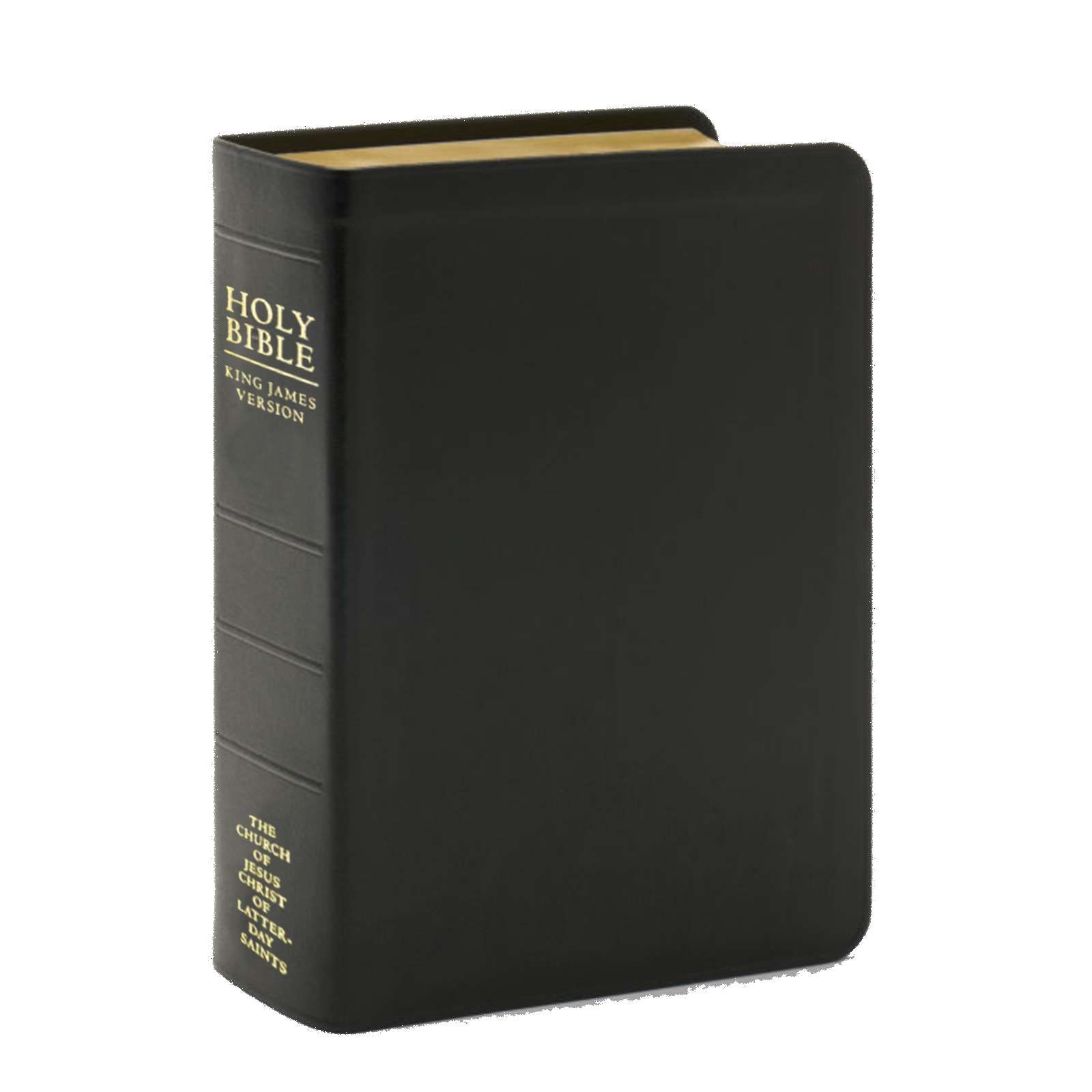 Holy Bible, Genuine Leather, Regular, Indexed, , large image number 2