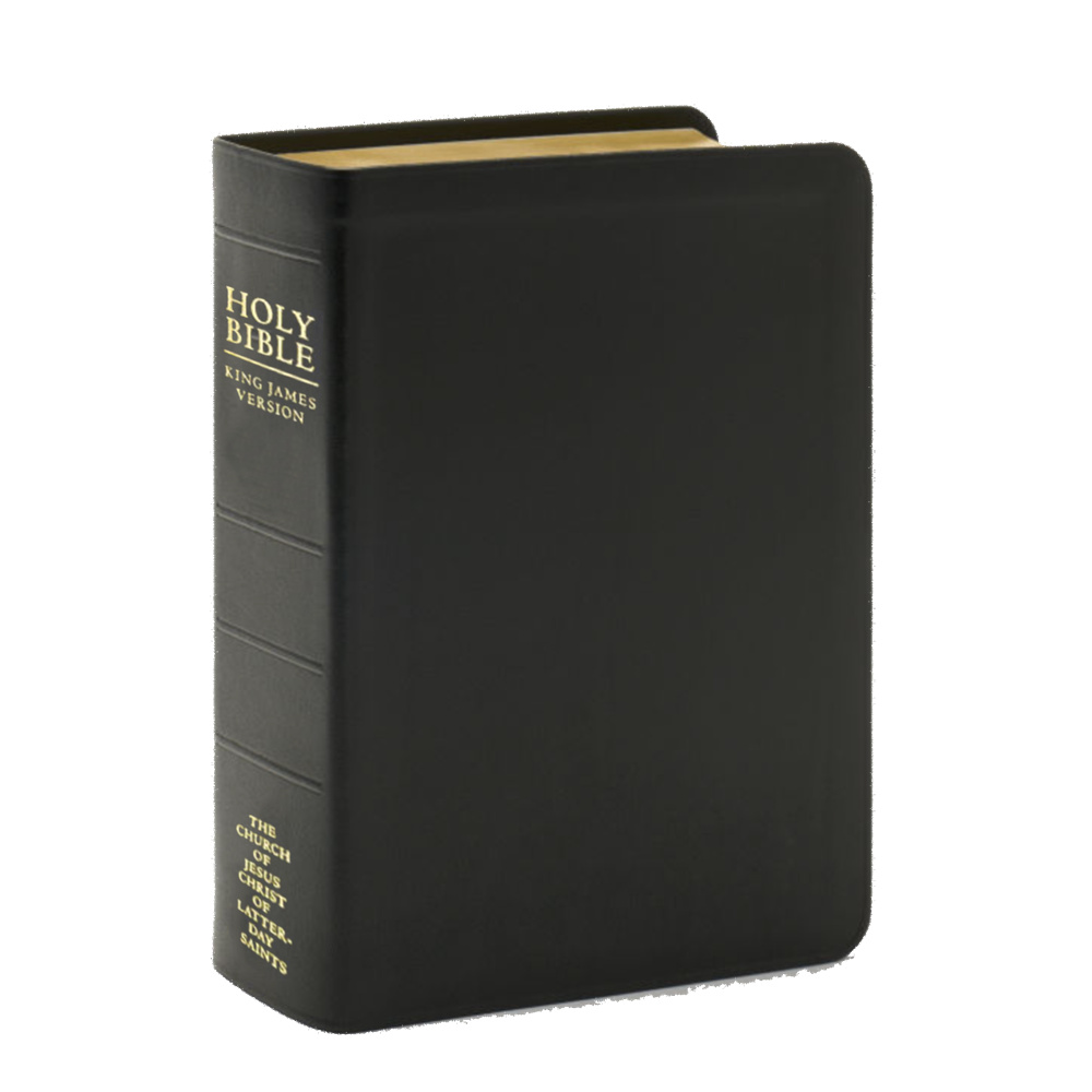 Holy Bible, Genuine Leather, Regular, Indexed, , large image number 2
