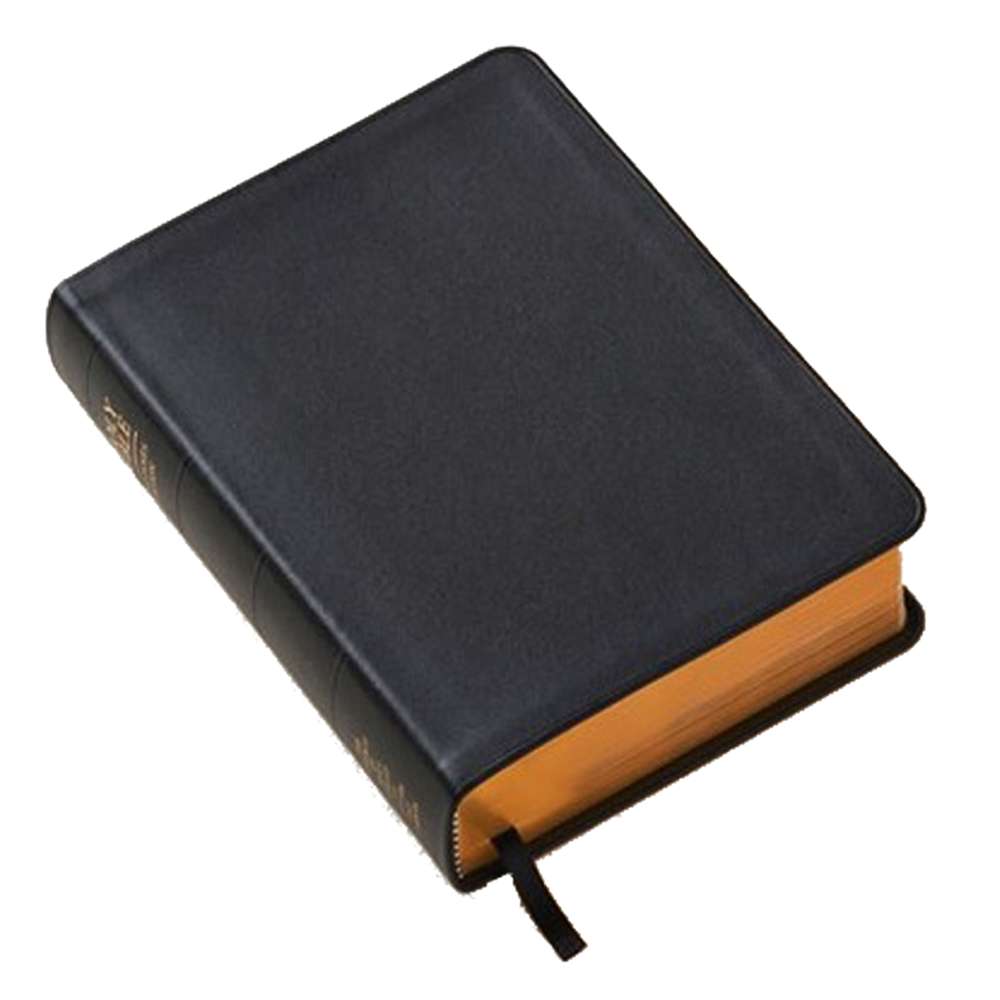 Holy Bible, Genuine Leather, Regular, Indexed, , large
