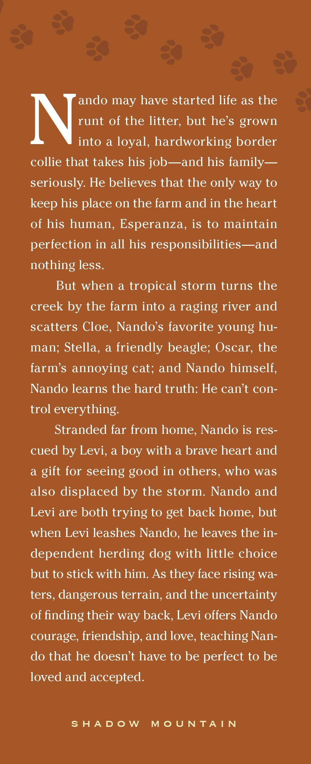 Nando, , large image number 2