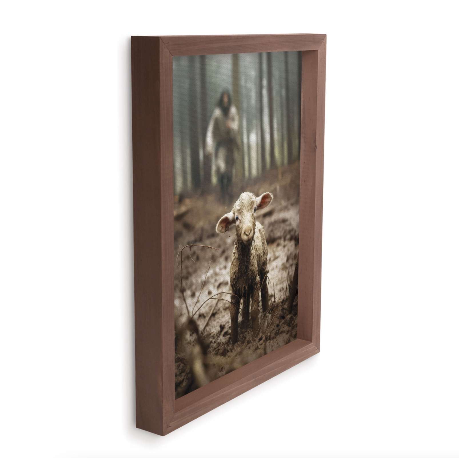 Lamb (12.75X16.75 Framed Canvas), , large