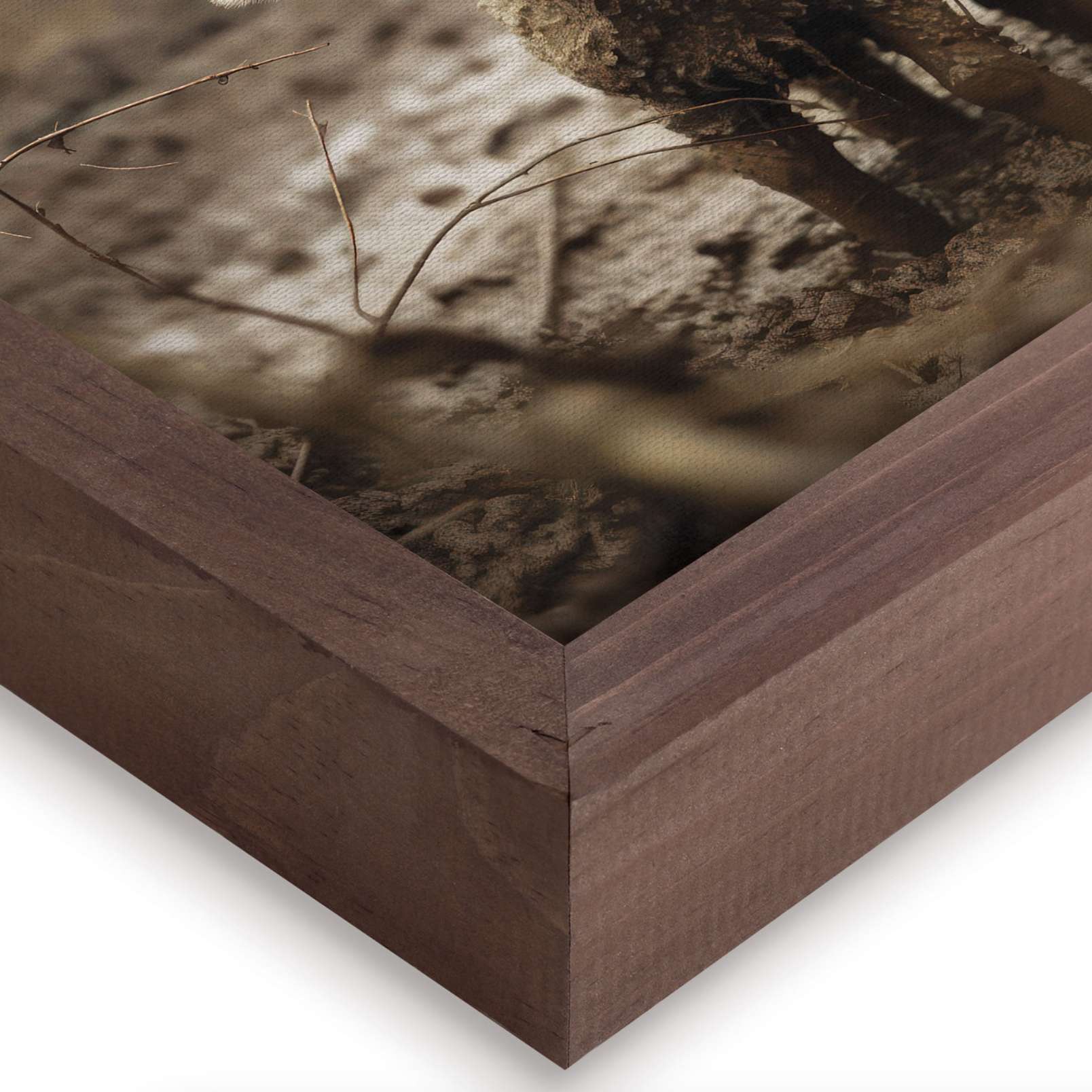 Lamb (12.75X16.75 Framed Canvas), , large image number 2