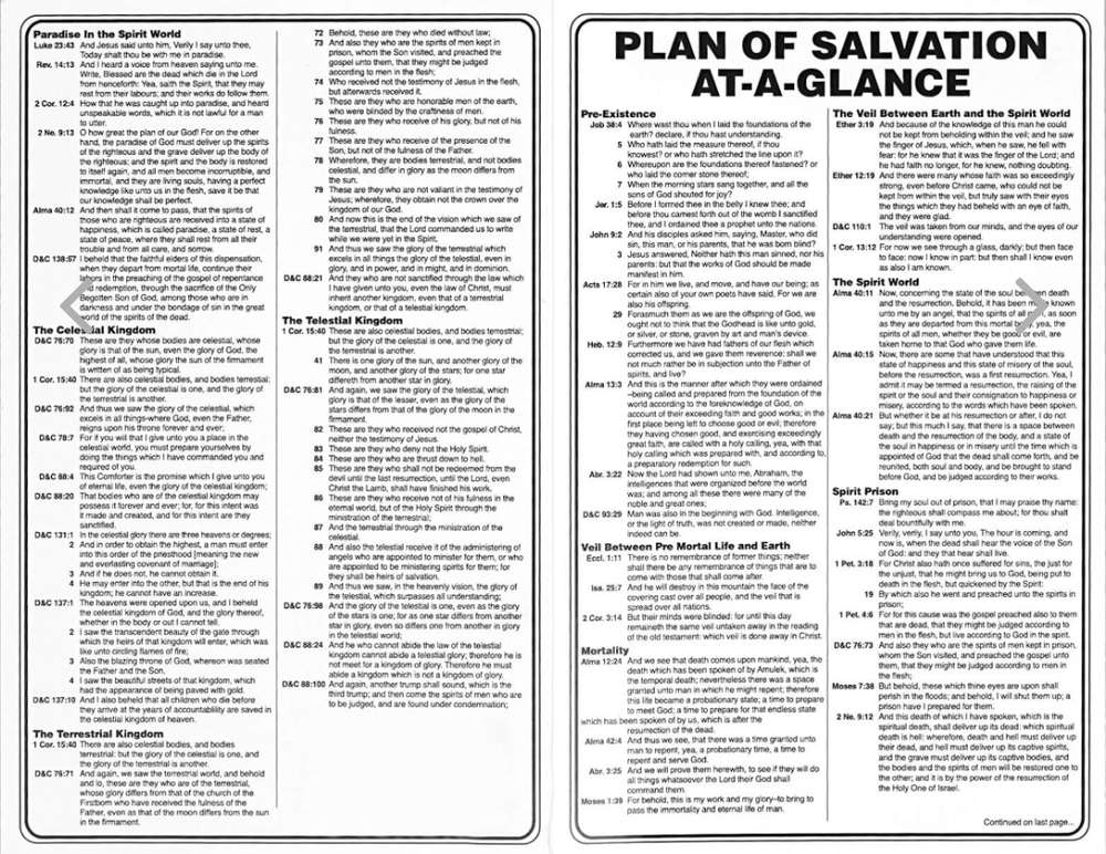 At-a-Glance Plan of Salvation