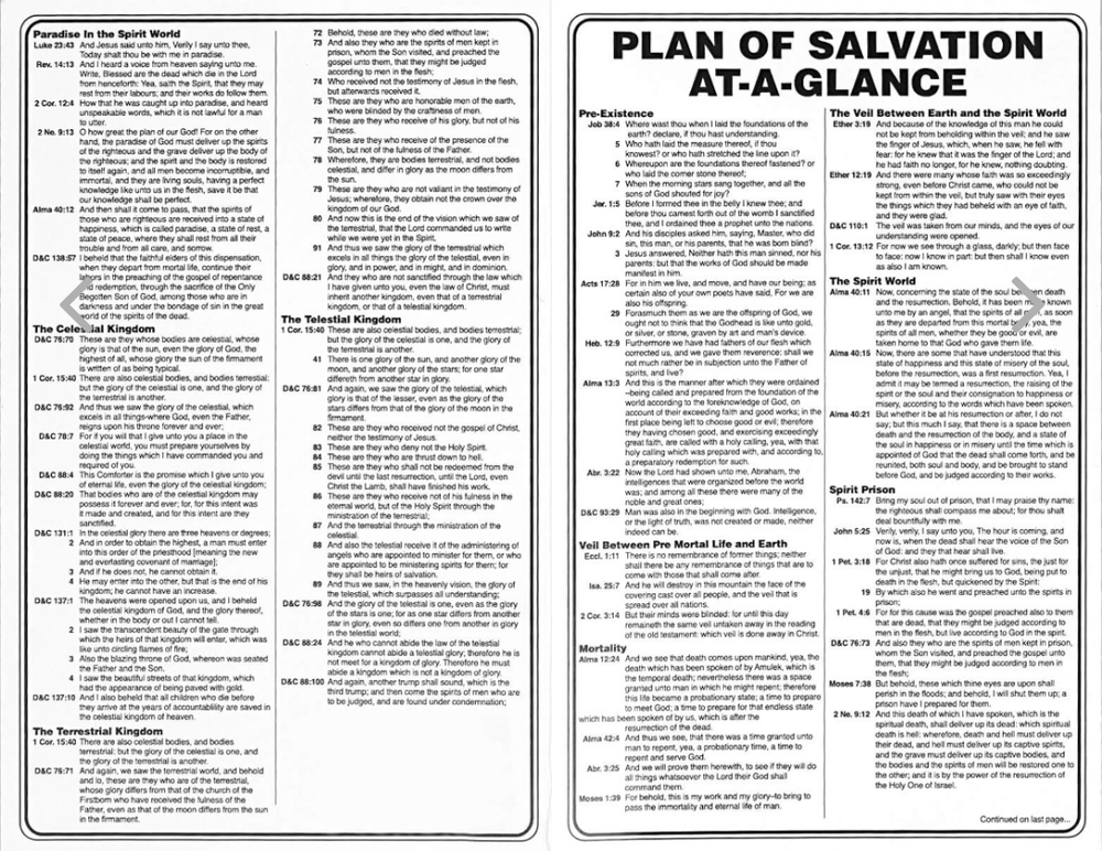 At-a-Glance Plan of Salvation, , large image number 0