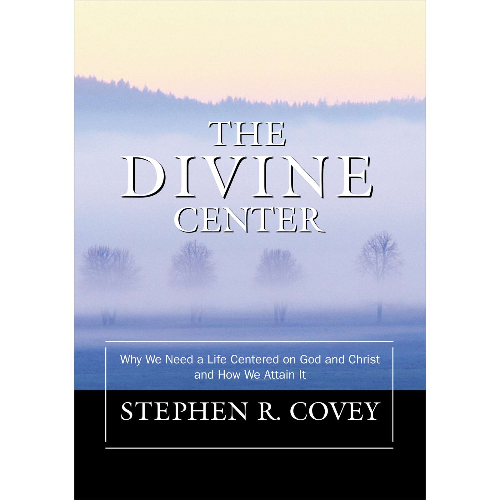 Divine Center C36, , large image number 0