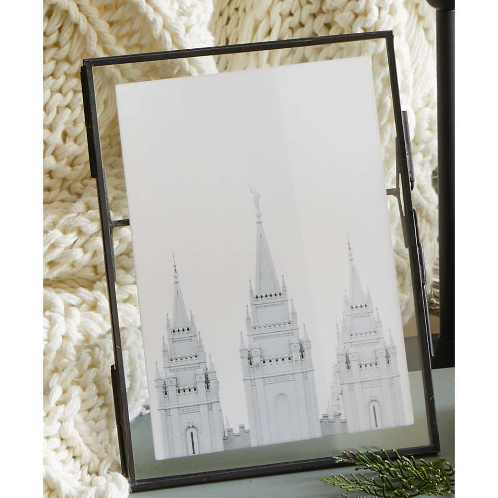 Salt Lake Temple (6x8 Black Frame)