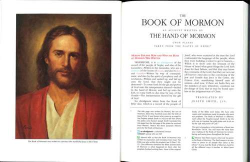 The Book of Mormon for Latter-day Saint Families, , large image number 1
