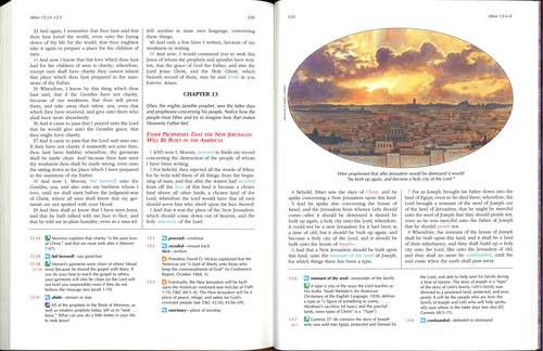 The Book of Mormon for Latter-day Saint Families, , large image number 4