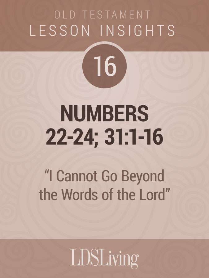 Lesson Insights Old Testament #16