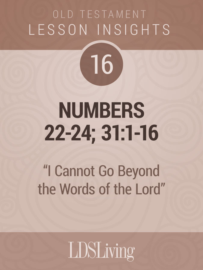 Lesson Insights Old Testament #16