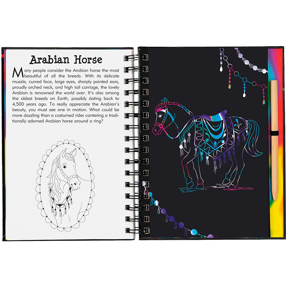 Horses Scratch And Sketch, , large image number 5