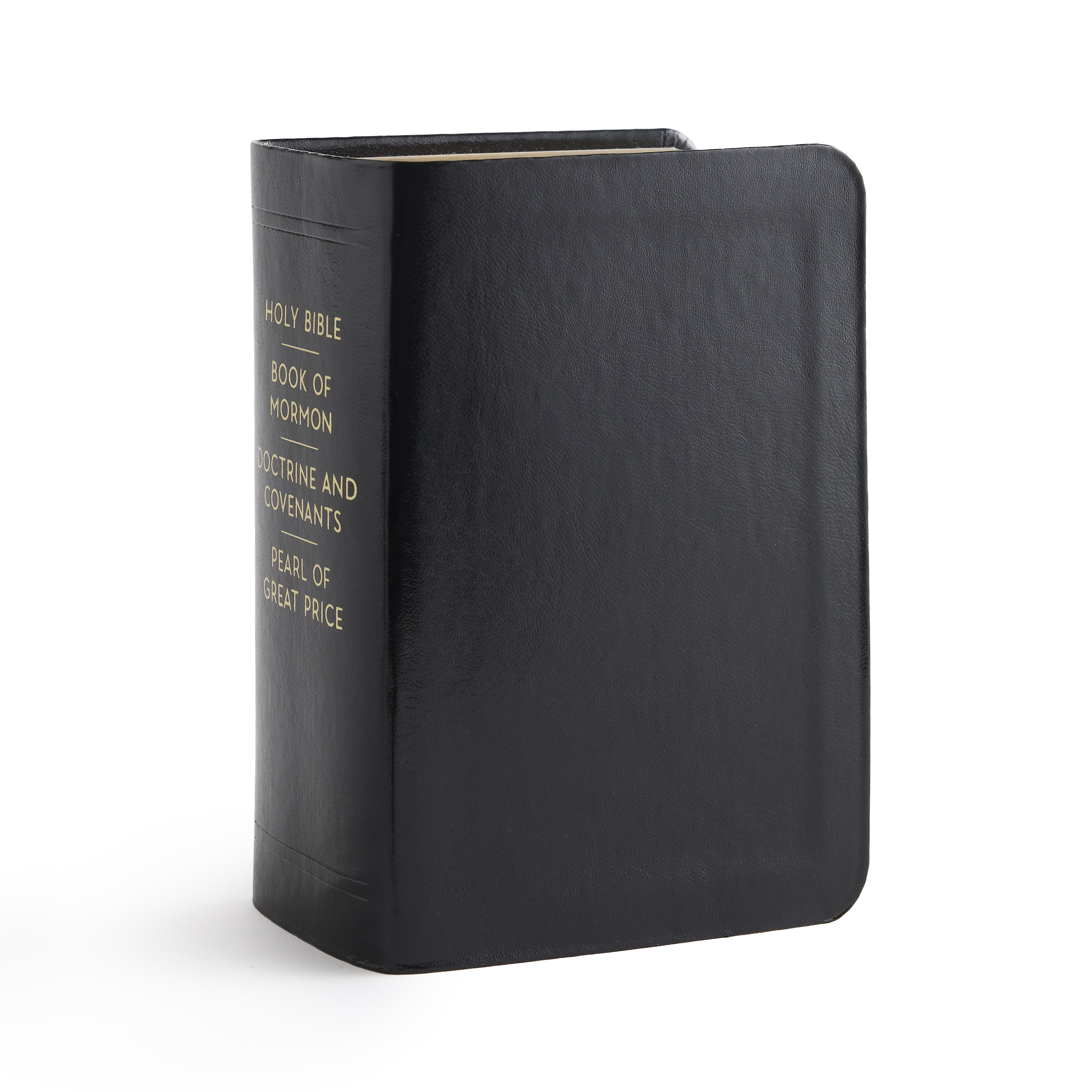 Simulated Leather Quad Combination, Compact (Color Options)