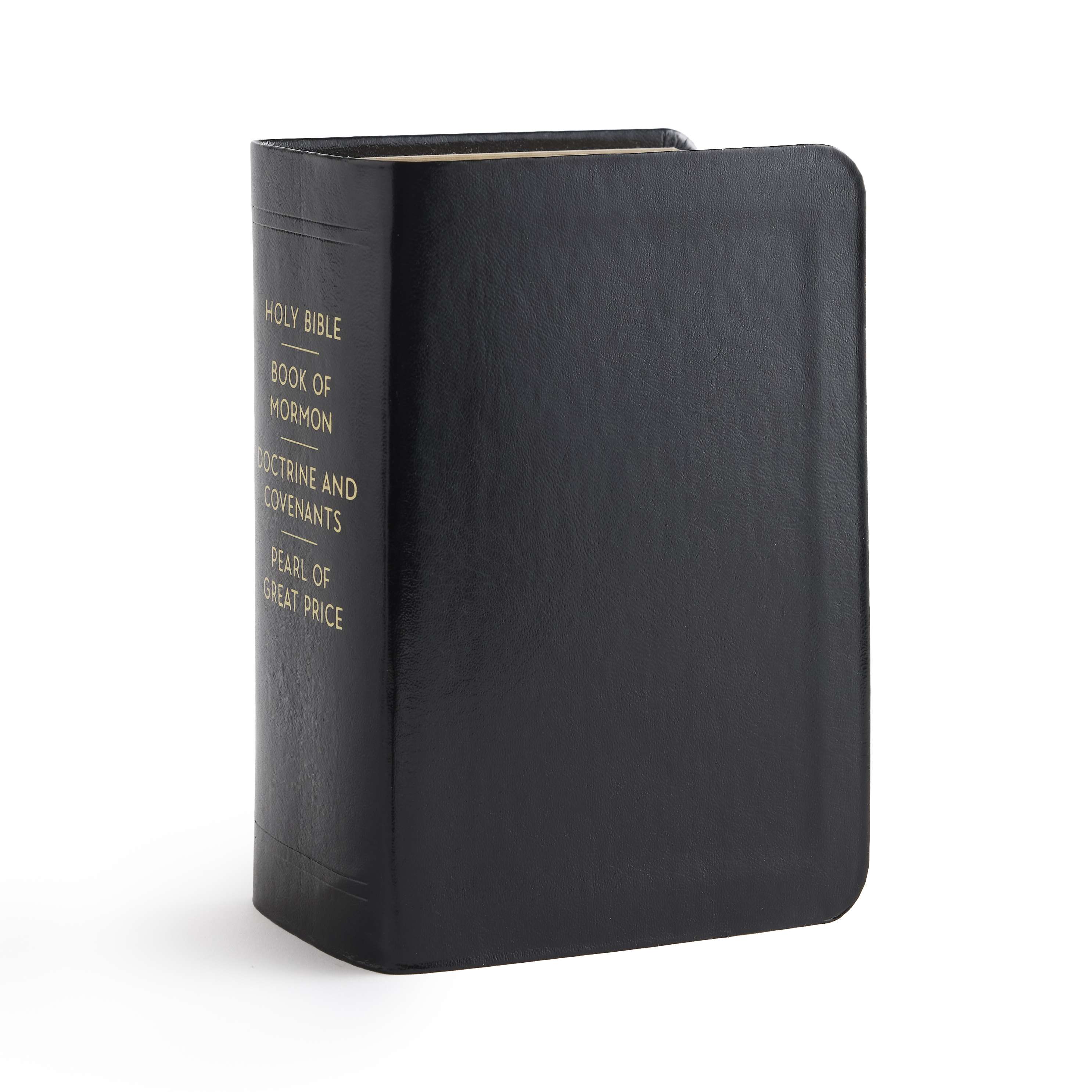 Simulated Leather Quad Combination, Compact (Color Options), , large image number 10