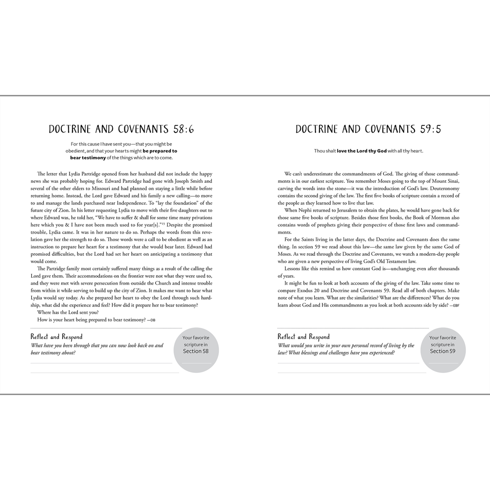 Don't Miss This in the Doctrine and Covenants, , large image number 2
