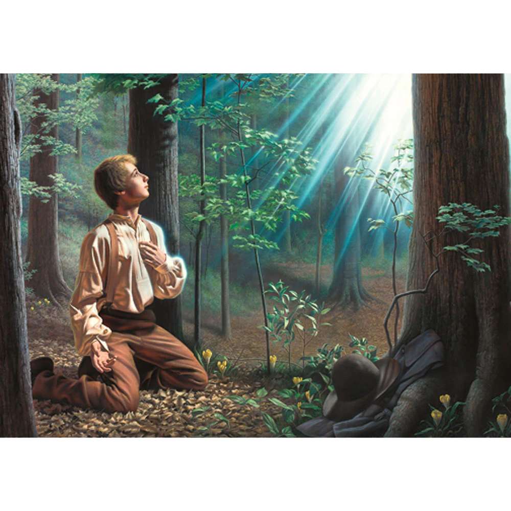 Let Him Ask in Faith 3x4 Print