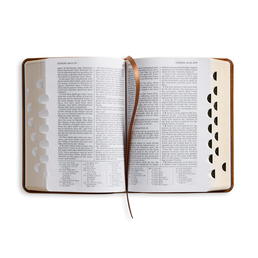 Genuine Leather Holy Bible, Regular (Color Options), , large image number 3