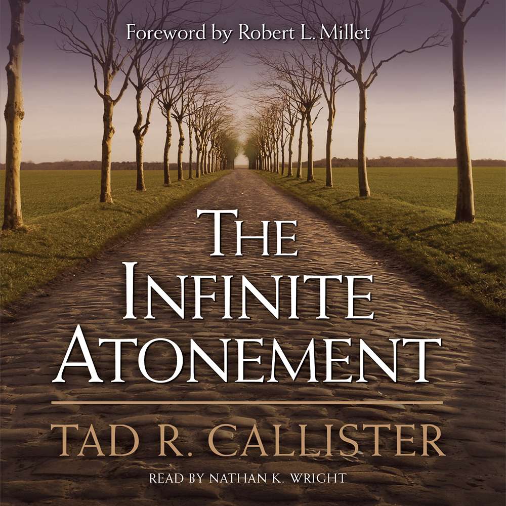 The Infinite Atonement, , large image number 7